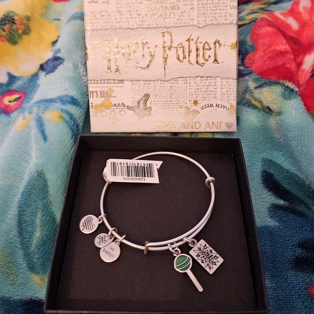 Alex And Ani Harry Potter Acid Pops Duo Hogwarts Bangle Charm Bracelet